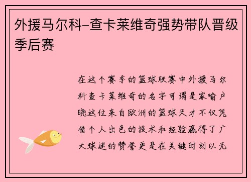 外援马尔科-查卡莱维奇强势带队晋级季后赛