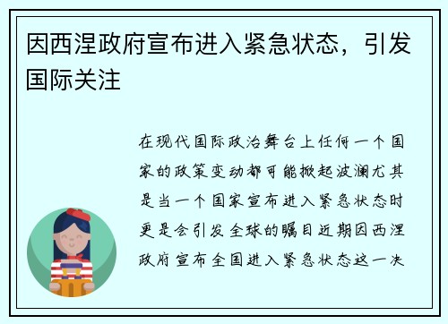 因西涅政府宣布进入紧急状态，引发国际关注