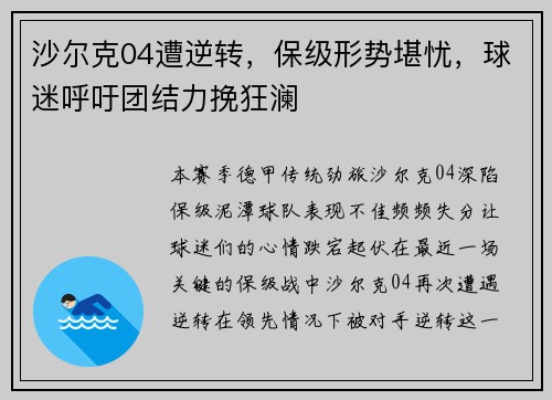 沙尔克04遭逆转，保级形势堪忧，球迷呼吁团结力挽狂澜