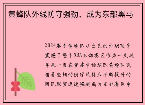 黄蜂队外线防守强劲，成为东部黑马
