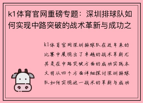 k1体育官网重磅专题：深圳排球队如何实现中路突破的战术革新与成功之路